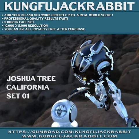 Joshua Tree California HDRI Set 1 - Blender lighting & hdris