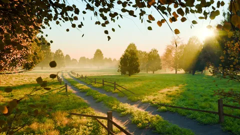 Lance's Tree Generator - Blender geometry nodes