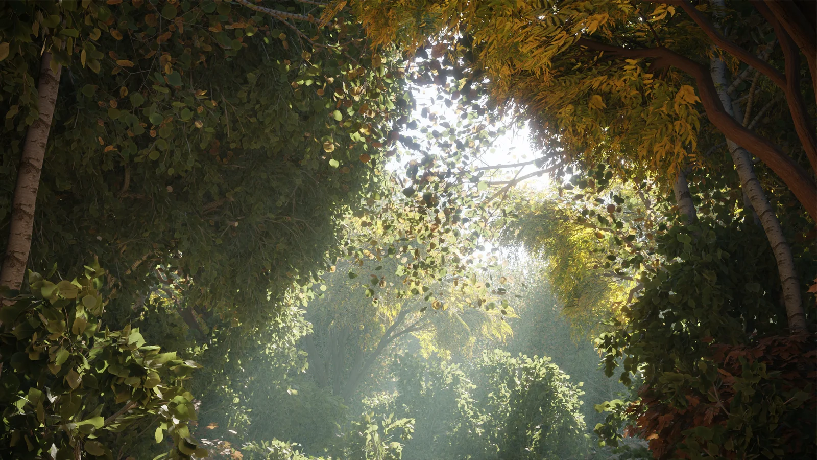 Lance's Tree Generator screenshot 6