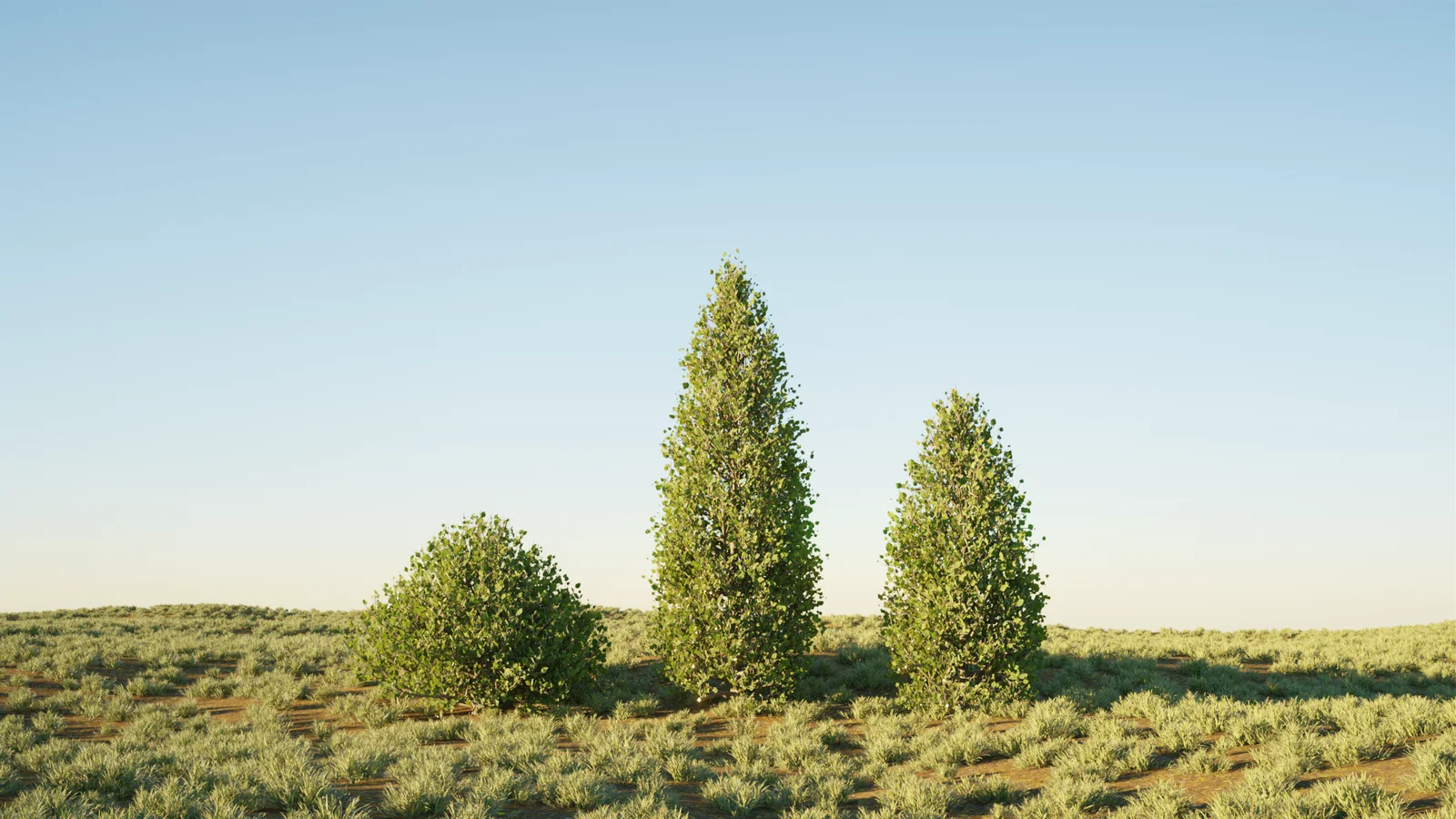 Lance's Tree Generator screenshot 7