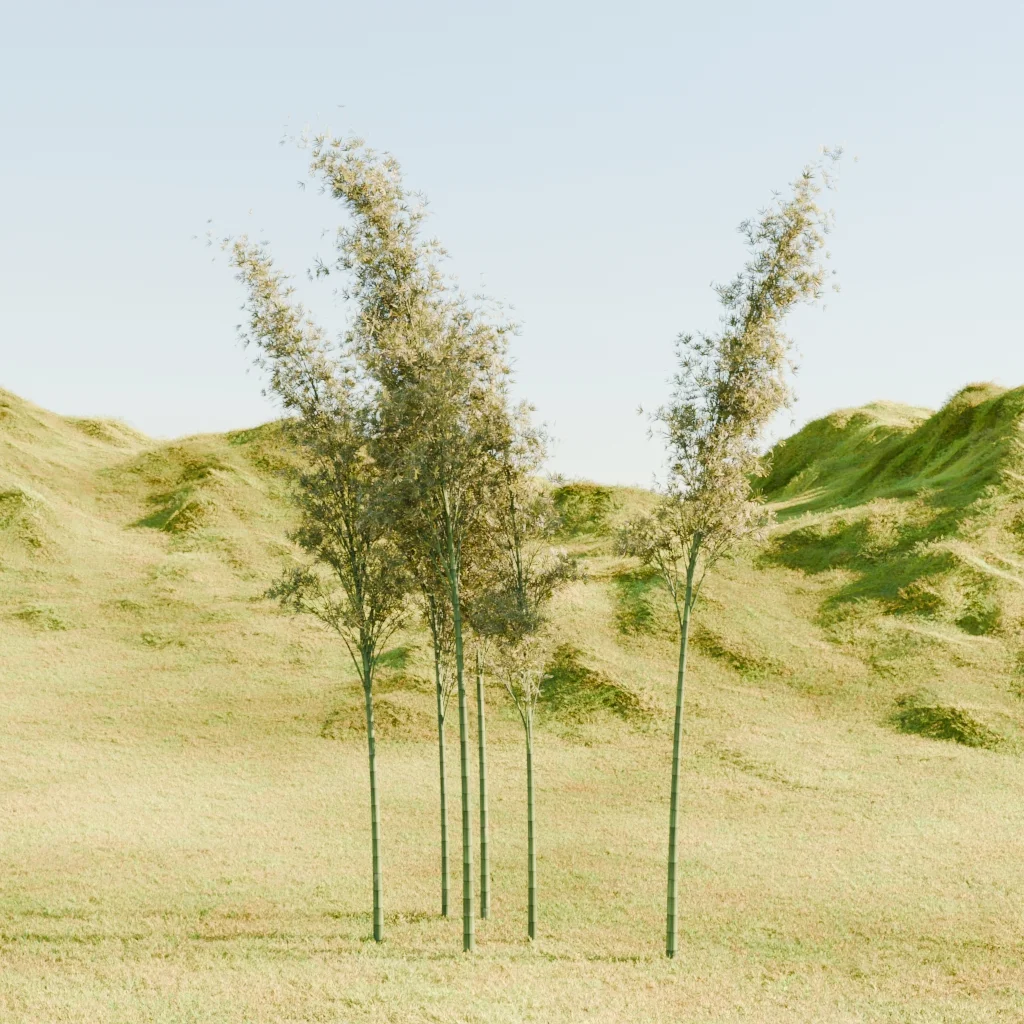 Lance's Tree Generator screenshot 8