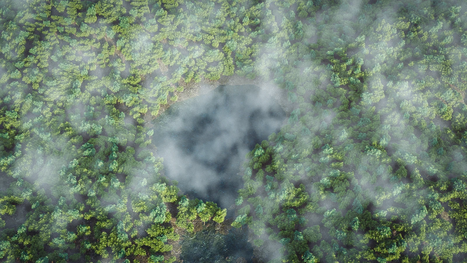 Large Forest Landscape screenshot 3