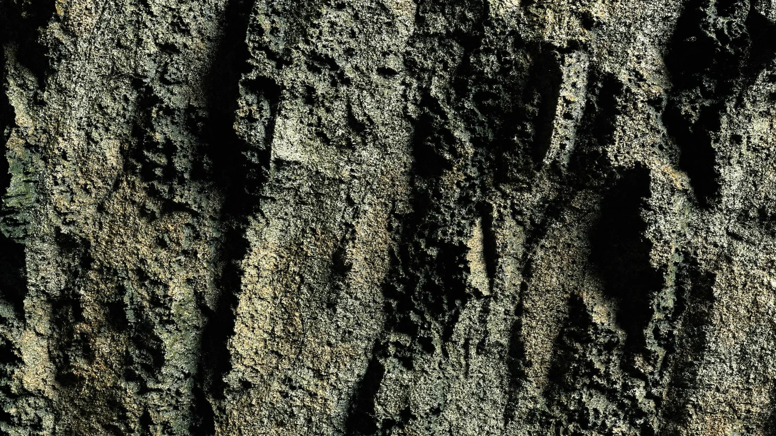 Lichen Rock screenshot 2