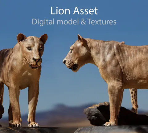Lion 3D Asset - Blender 3d models