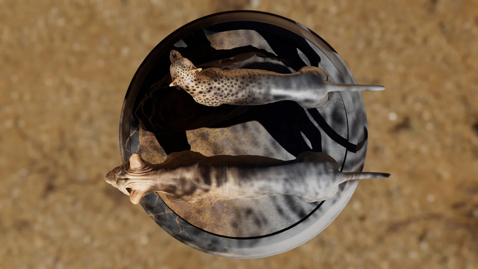 Lion 3D Asset screenshot 4