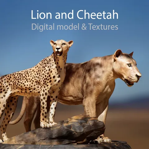 Lion and Cheetah - Blender 3d models
