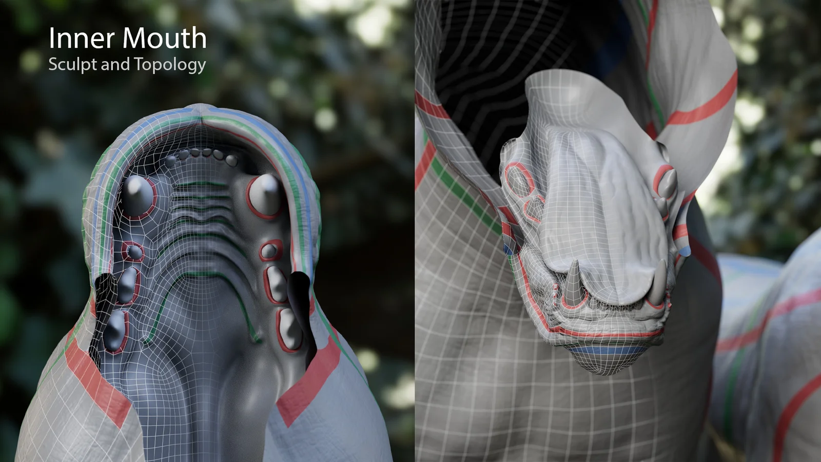 Lion and Cheetah screenshot 6