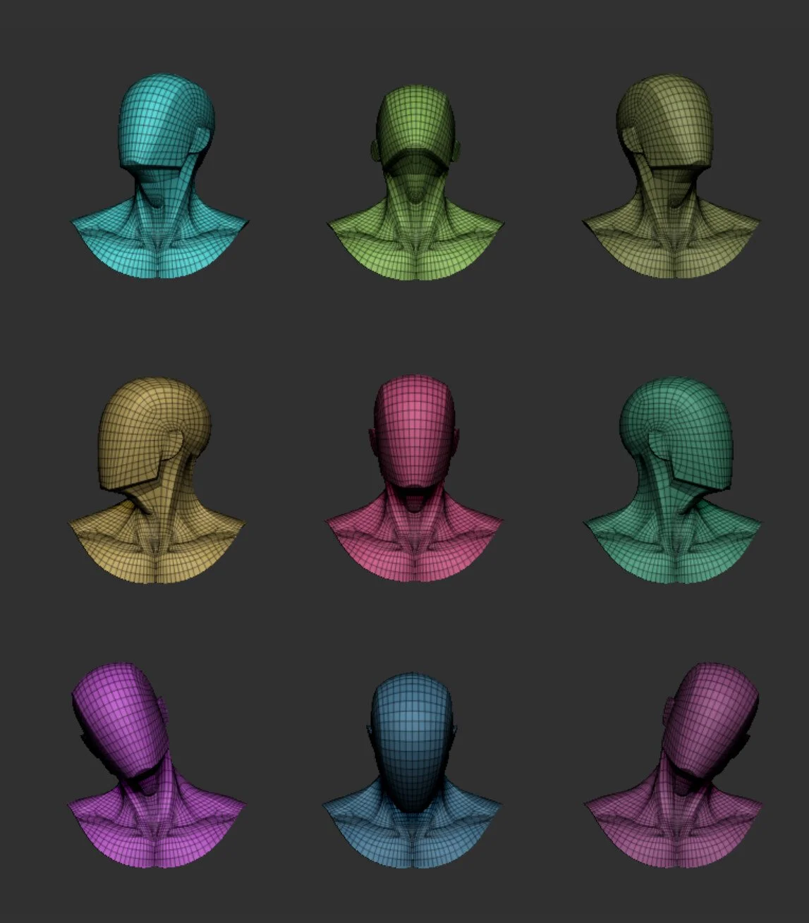 Main Shapes & Muscles of the Neck screenshot 3