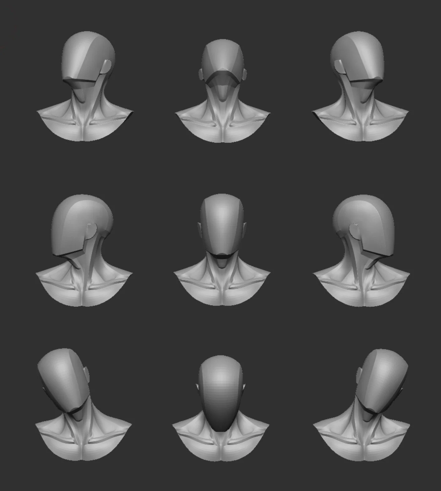 Main Shapes & Muscles of the Neck screenshot 4
