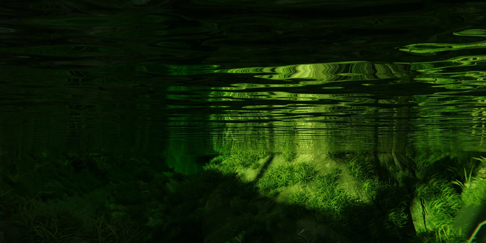 Make Forest V2 screenshot 3