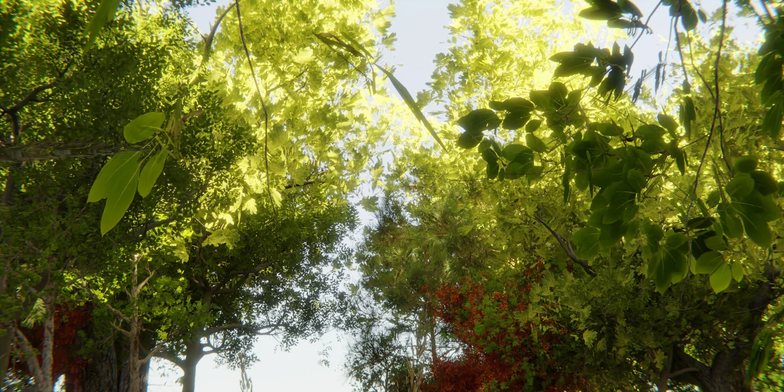 Make Forest V2 screenshot 6