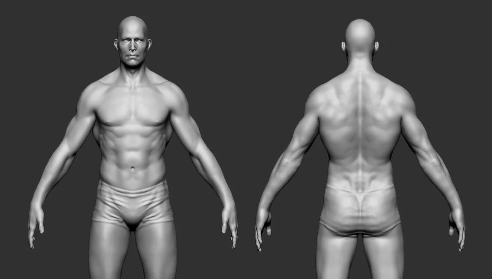 Male Body Basemesh screenshot 3