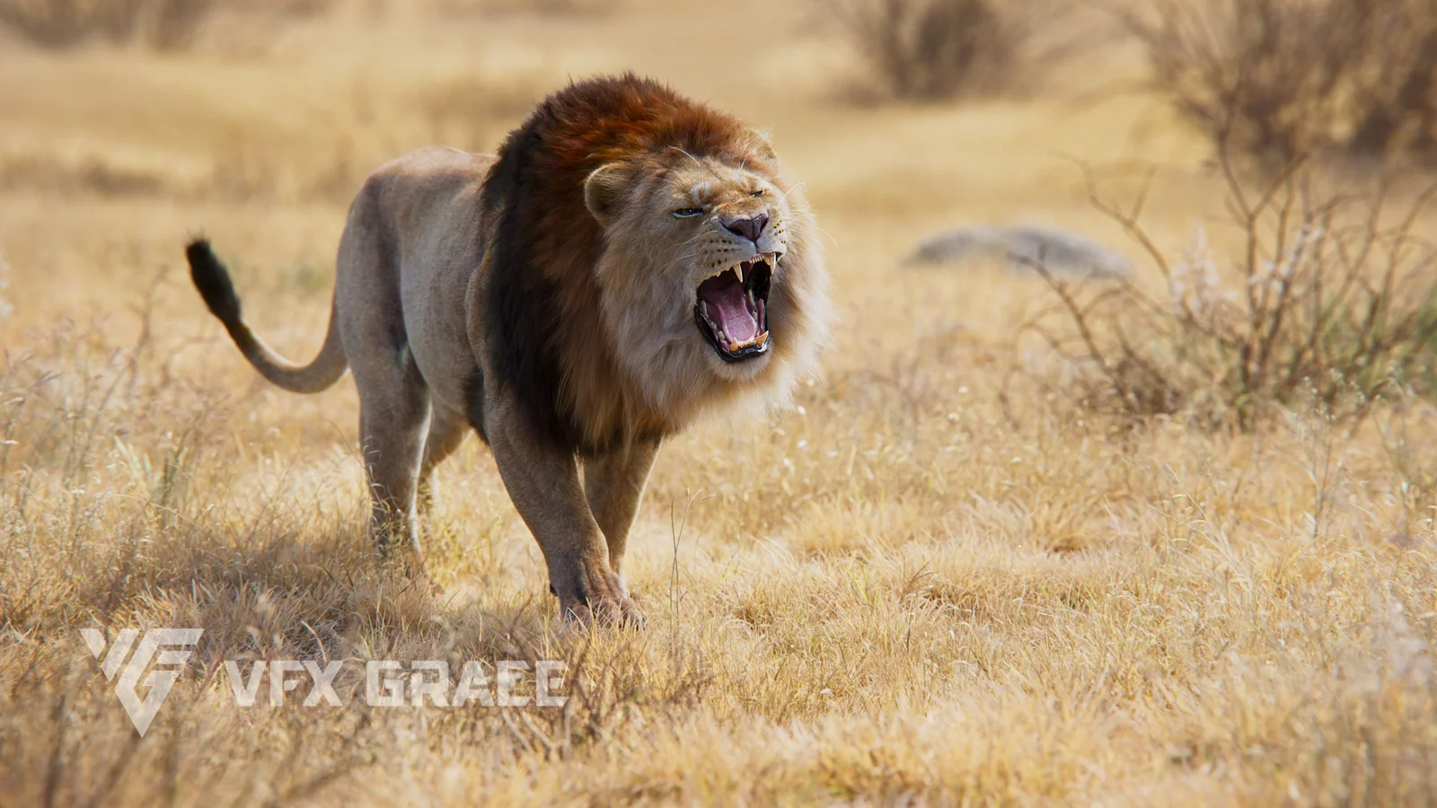 Male Lion Animated screenshot 3