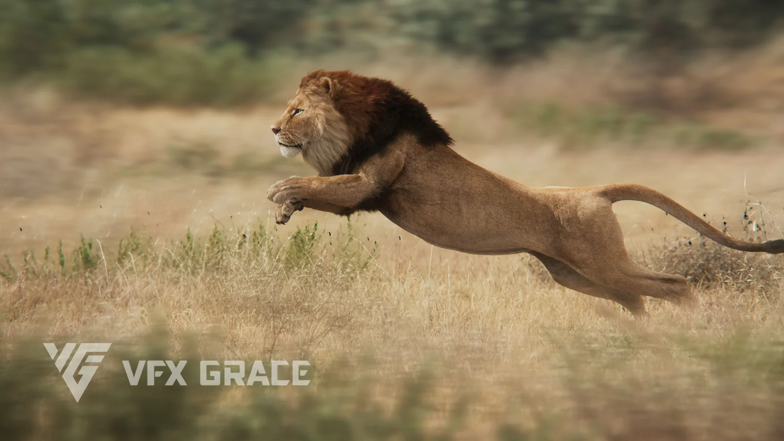 Male Lion Animated screenshot 4