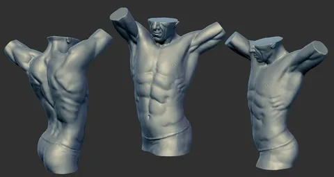 Male Torso Sculpture - Blender 3d models