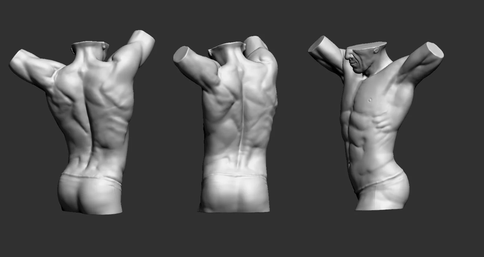 Male Torso Sculpture screenshot 3