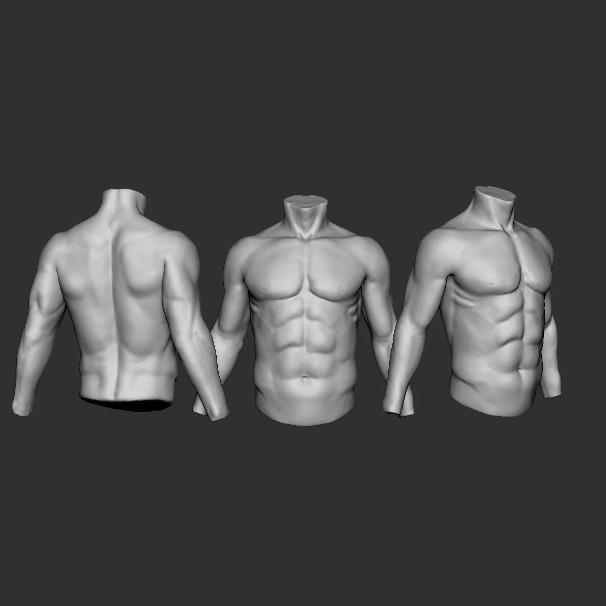 Male Torso Sculptures screenshot 2