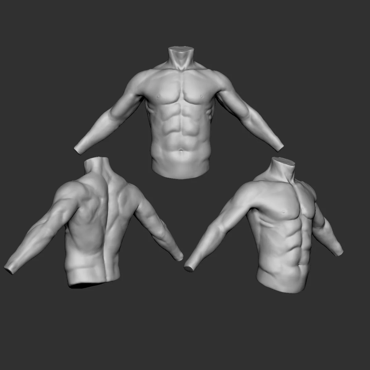 Male Torso Sculptures screenshot 3