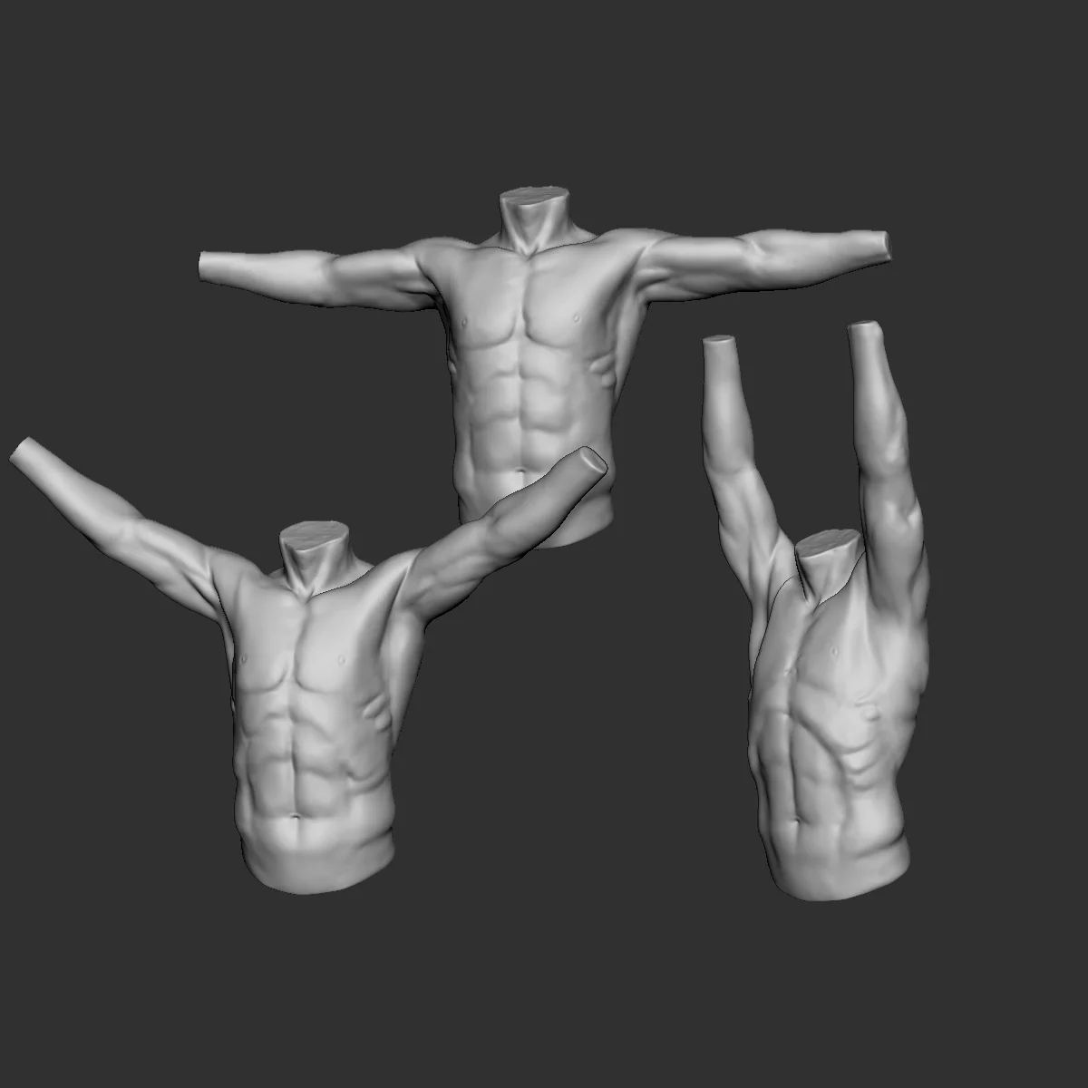 Male Torso Sculptures screenshot 4
