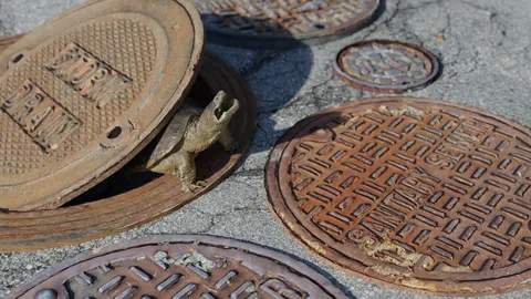 Manhole Cover Photo Scans - Blender 3d models