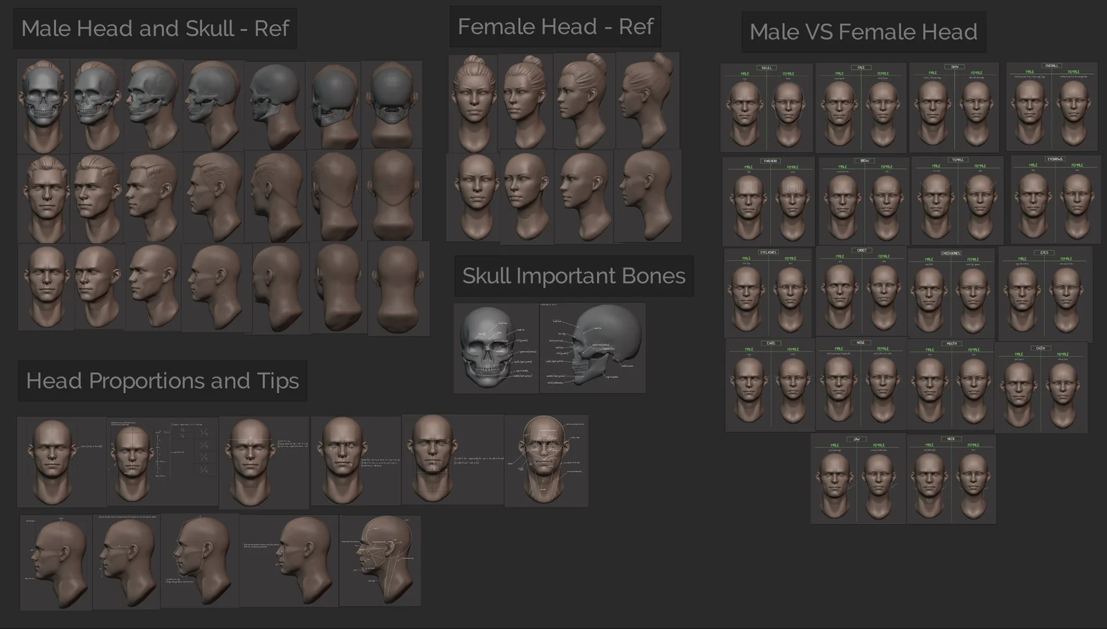 Master Sculpting Heads screenshot 3