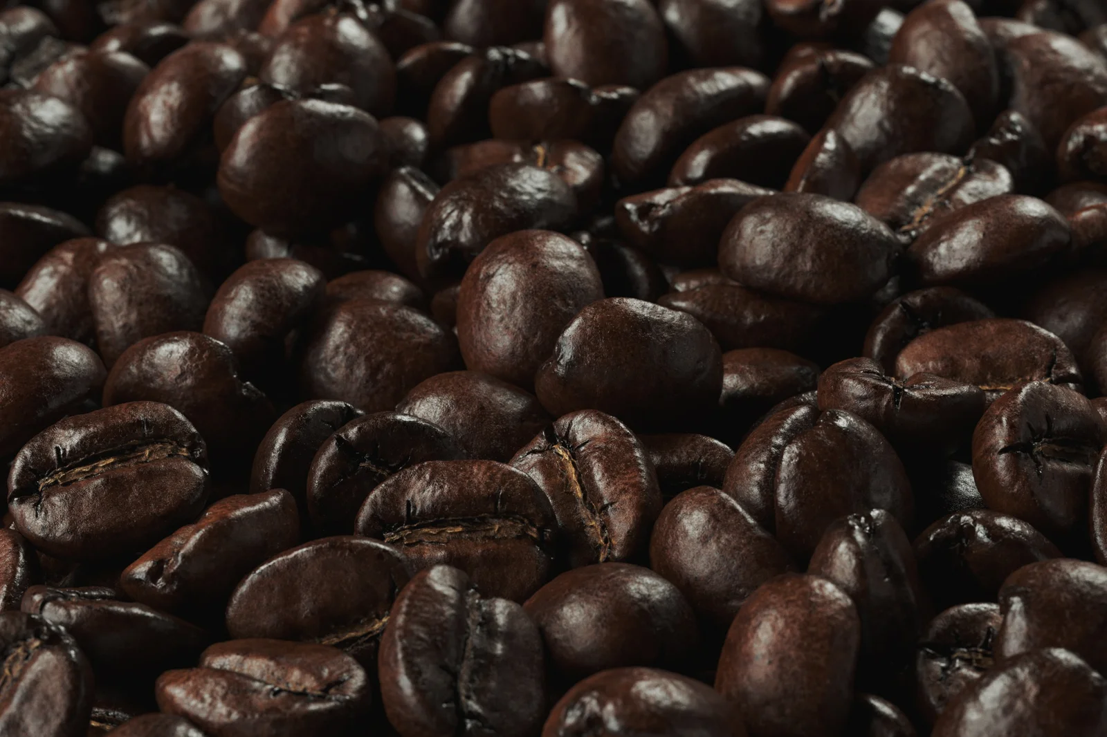 Coffee Bean 02 screenshot 2