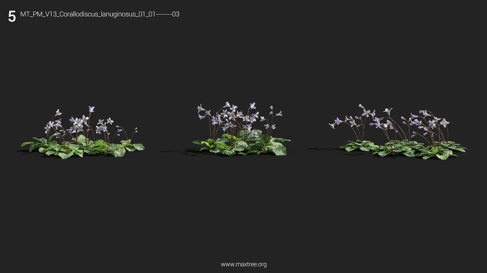 Plant Models Vol 13 screenshot 6