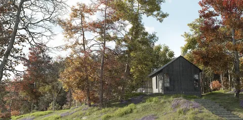 Maxtree Plant Models Vol 17 - Blender 3d models