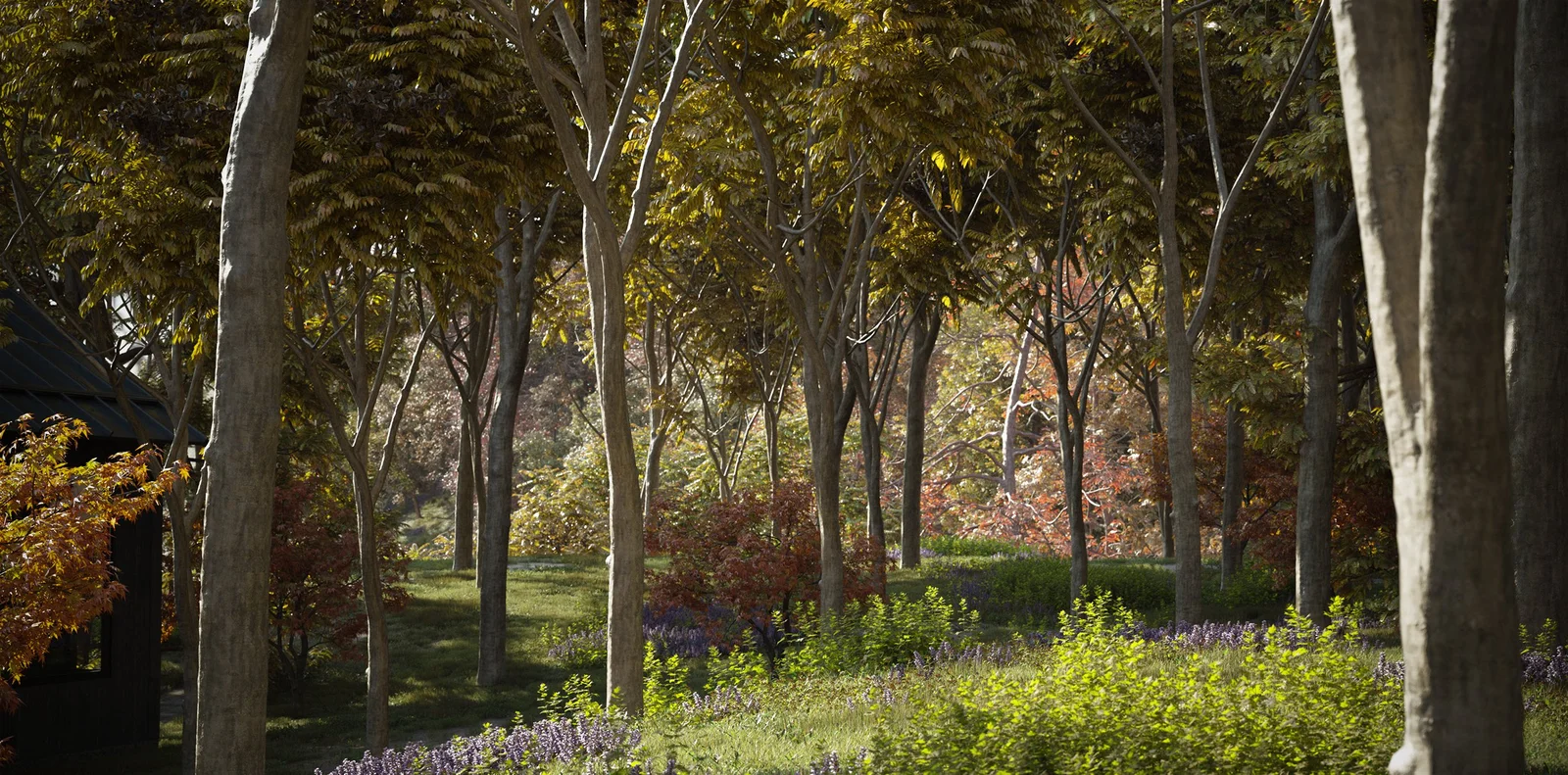 Maxtree Plant Models Vol 17 screenshot 2