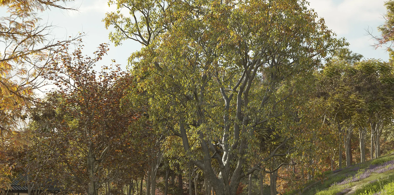 Maxtree Plant Models Vol 17 screenshot 3