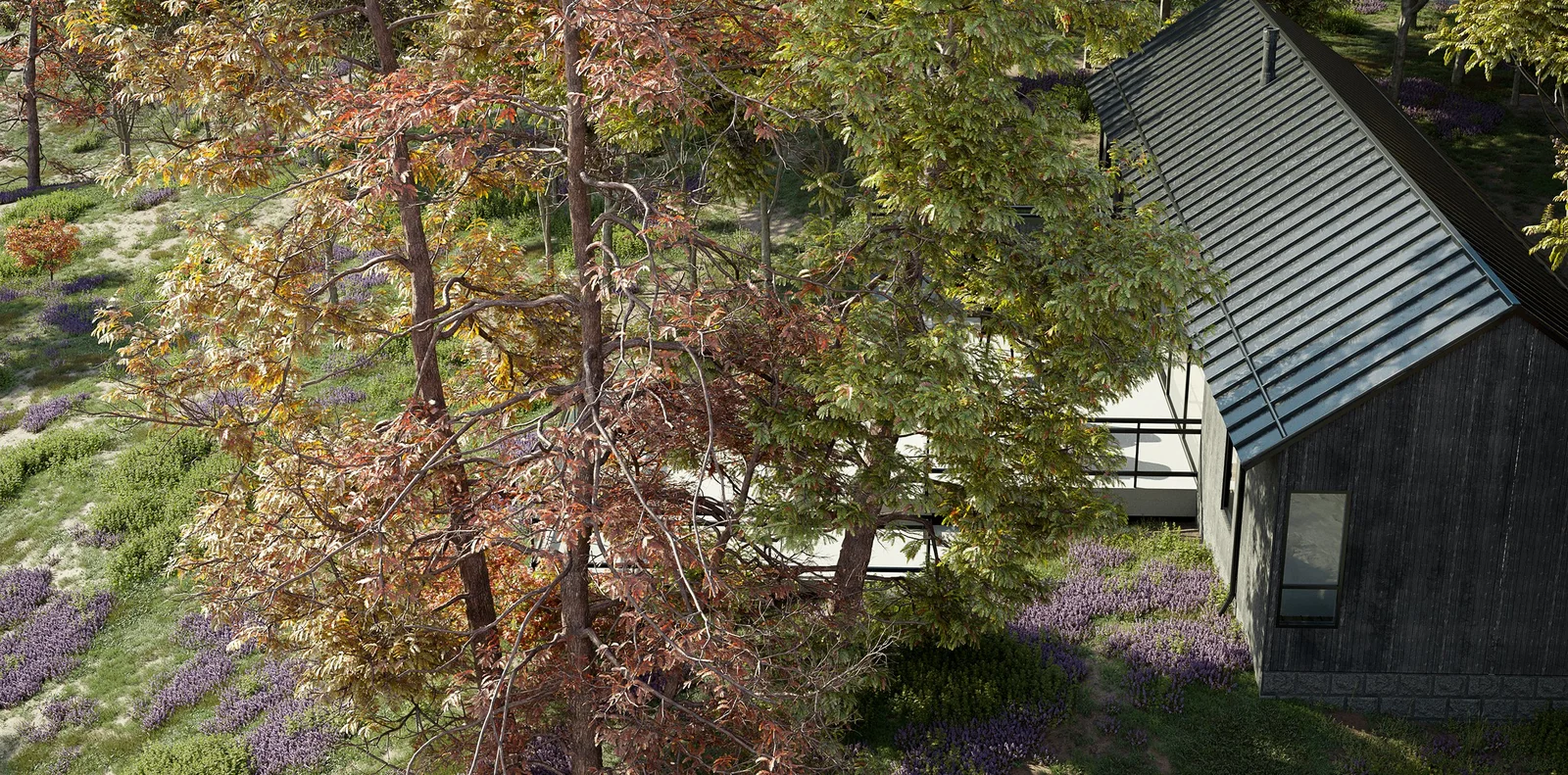 Maxtree Plant Models Vol 17 screenshot 4