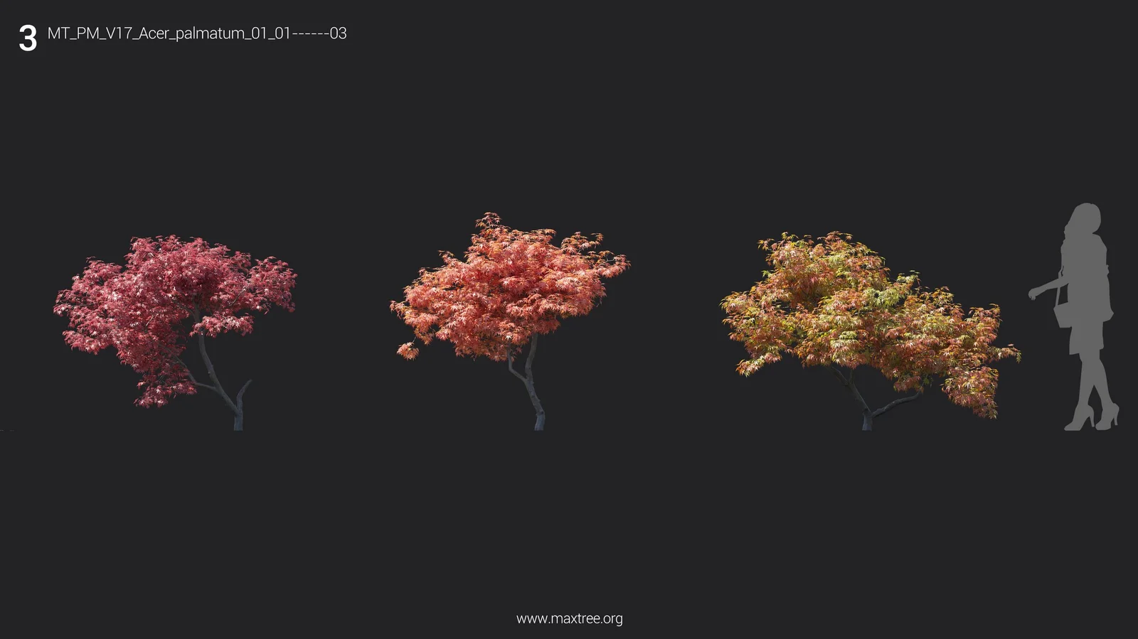 Maxtree Plant Models Vol 17 screenshot 6