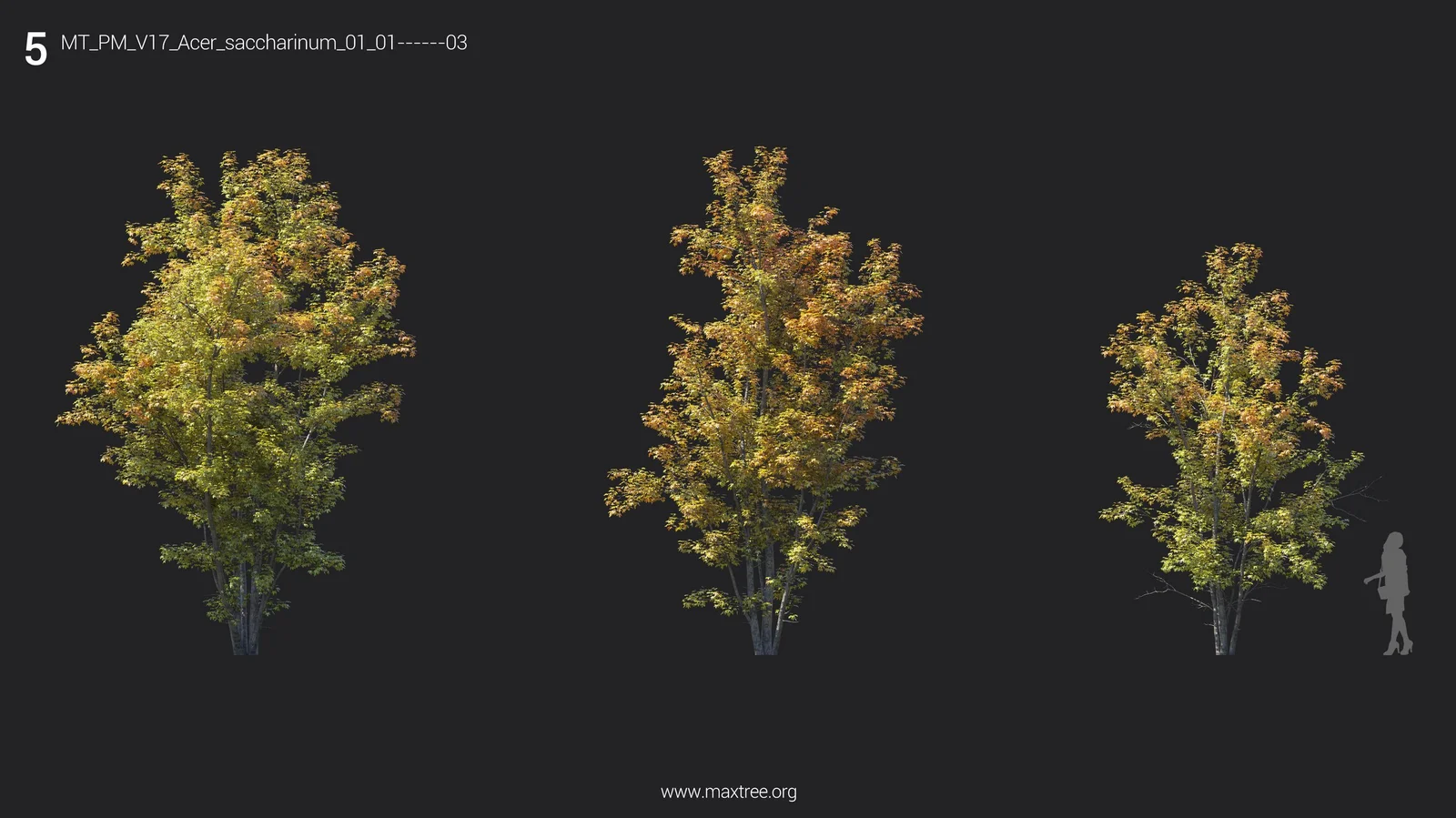 Maxtree Plant Models Vol 17 screenshot 7
