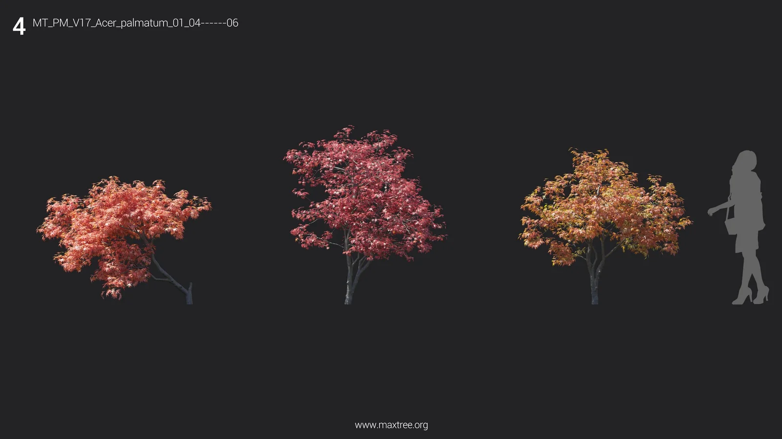 Maxtree Plant Models Vol 17 screenshot 8