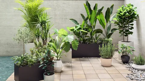 Plant Models Vol 19 - Blender 3d models