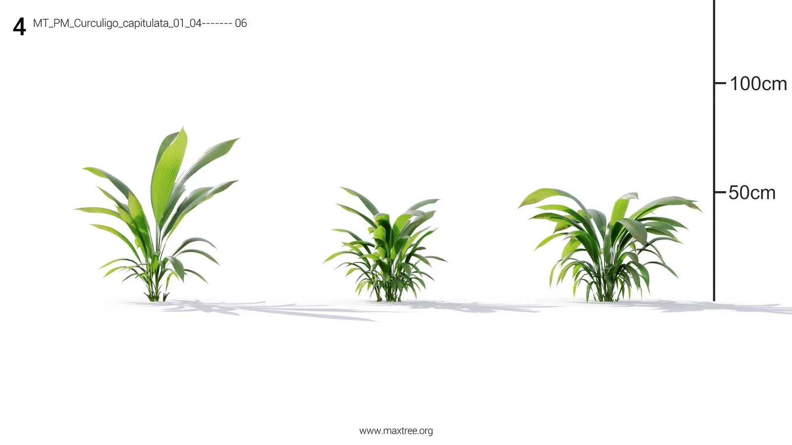 Plant Models Vol 19 screenshot 3