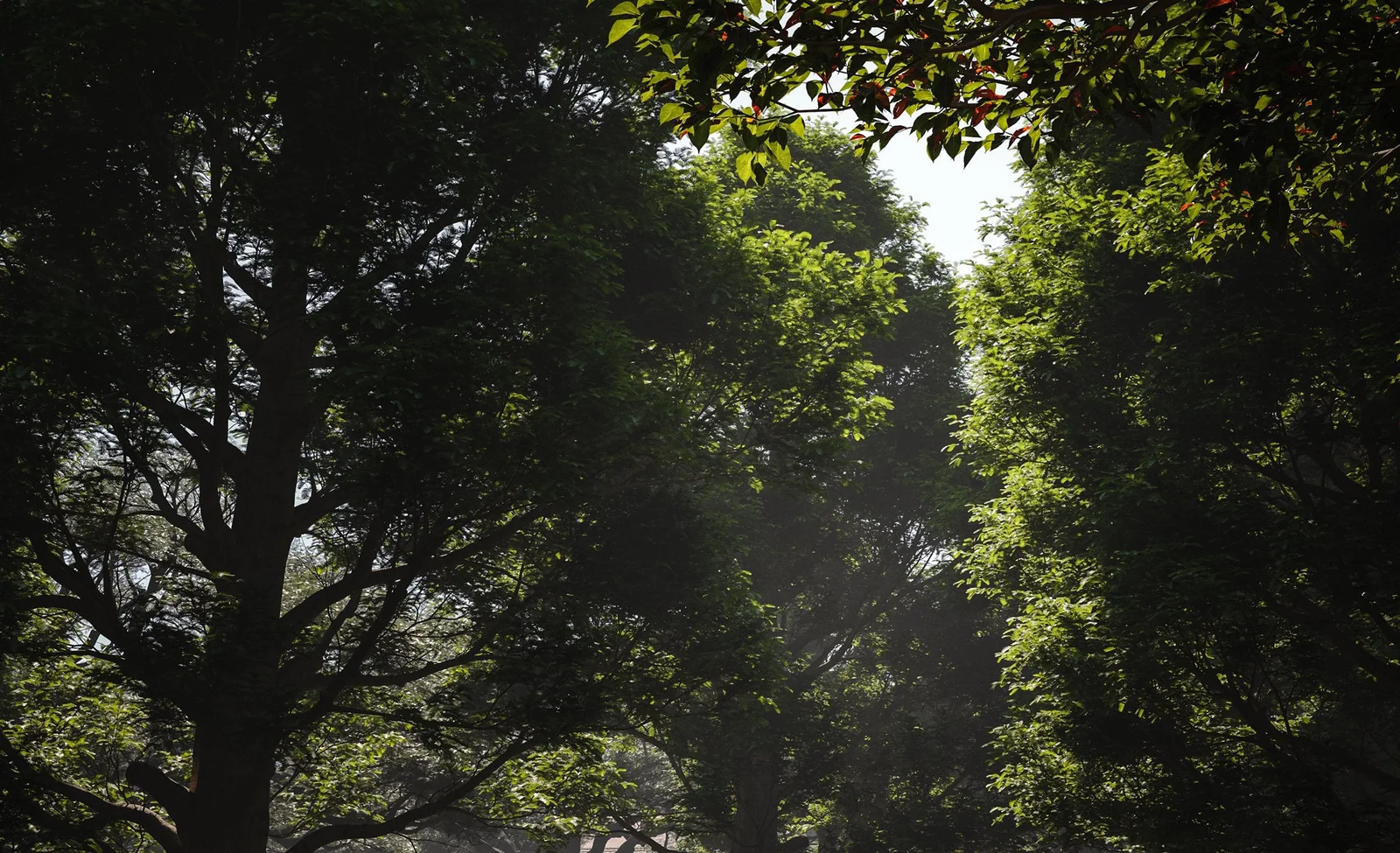 Maxtree Plant Models Vol 22 screenshot 4