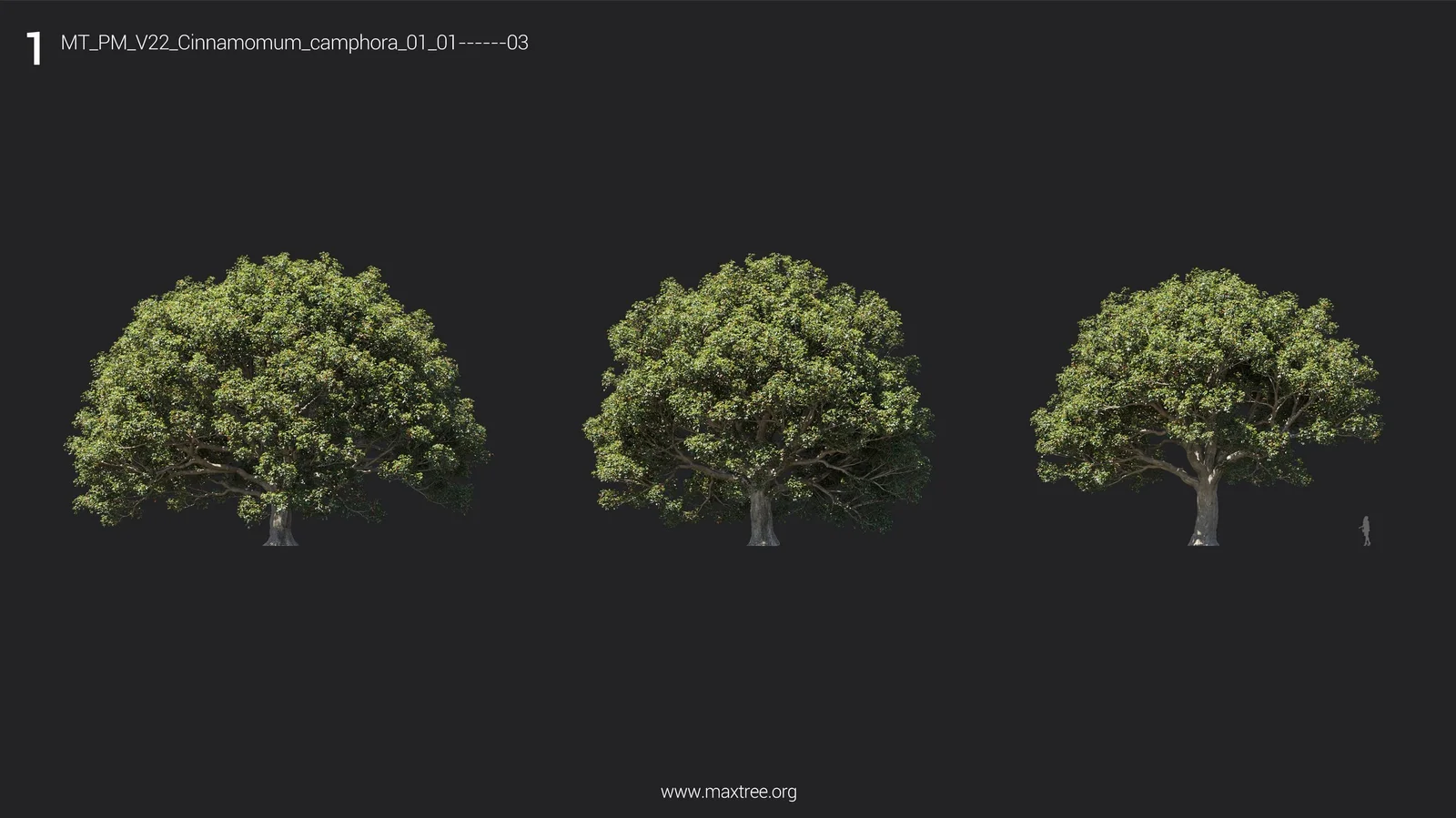 Maxtree Plant Models Vol 22 screenshot 6