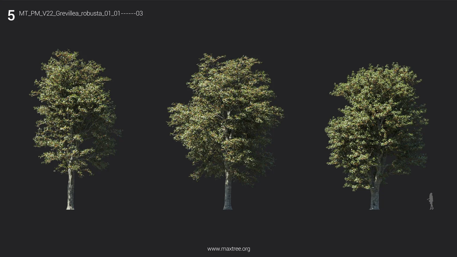 Maxtree Plant Models Vol 22 screenshot 7