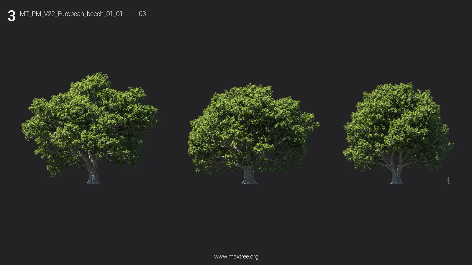 Maxtree Plant Models Vol 22 screenshot 8
