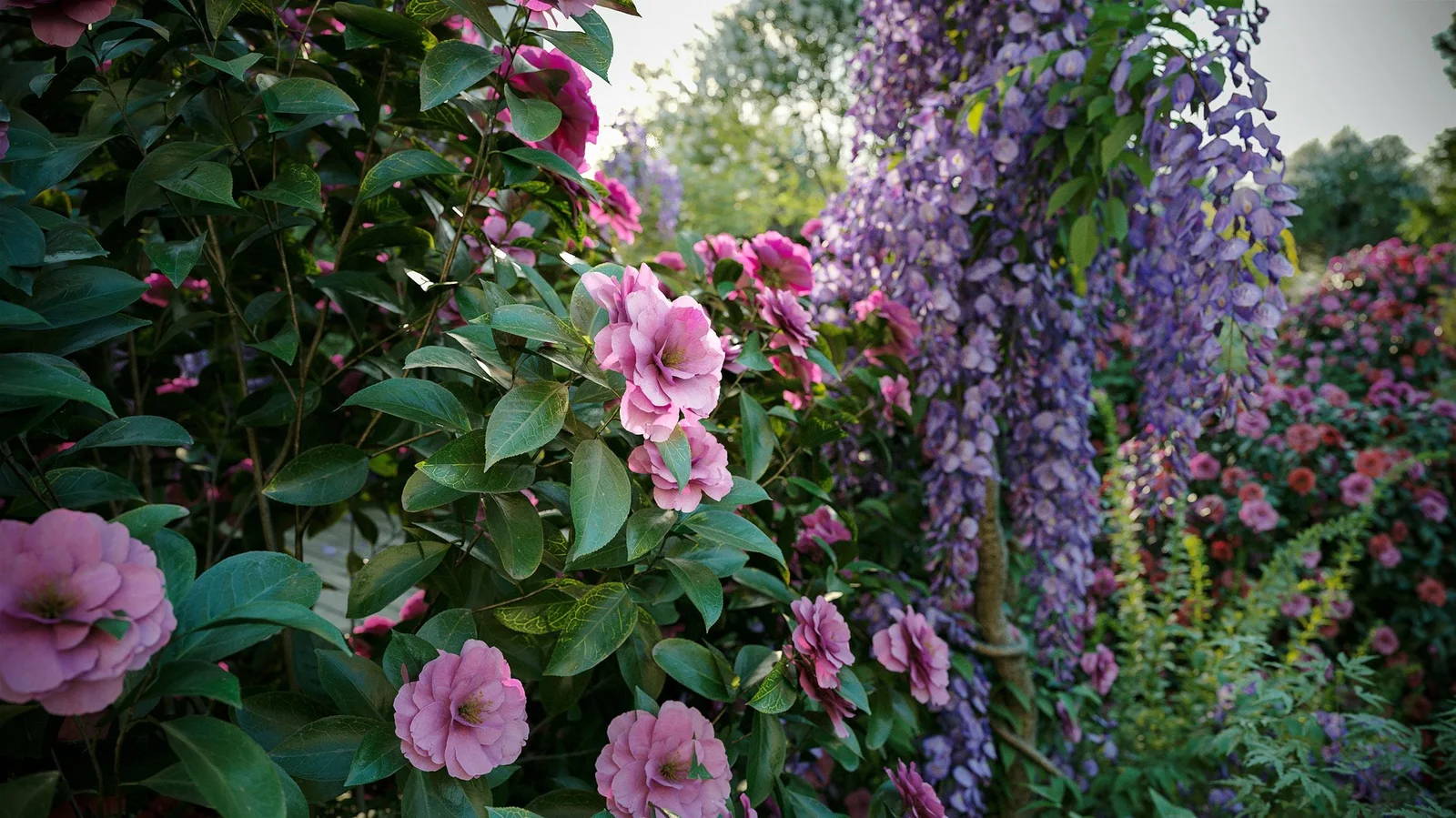 Plant Models Vol 23 screenshot 3