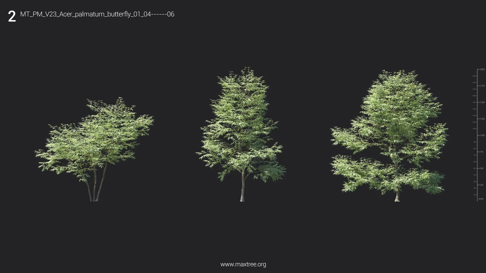 Plant Models Vol 23 screenshot 8
