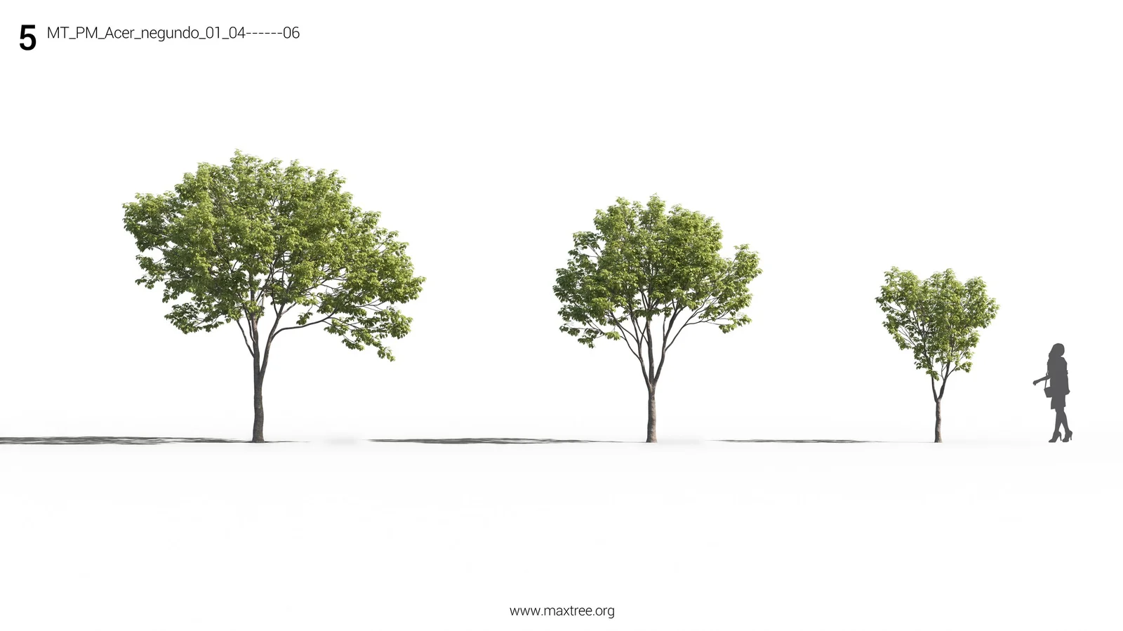 Maxtree Plant Models Vol 26 screenshot 3