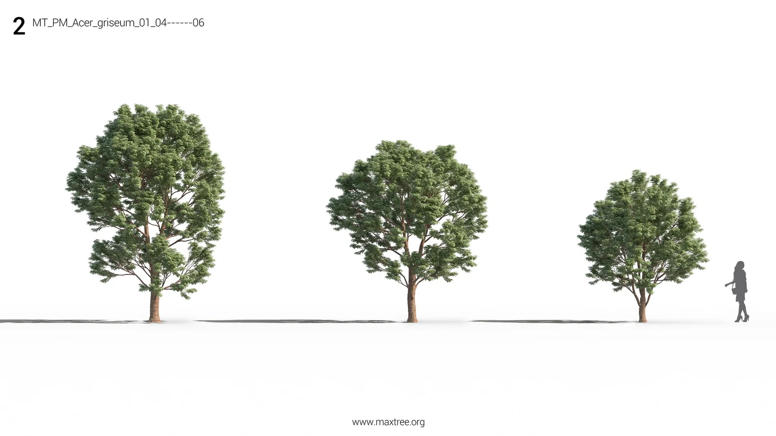 Maxtree Plant Models Vol 26 screenshot 4