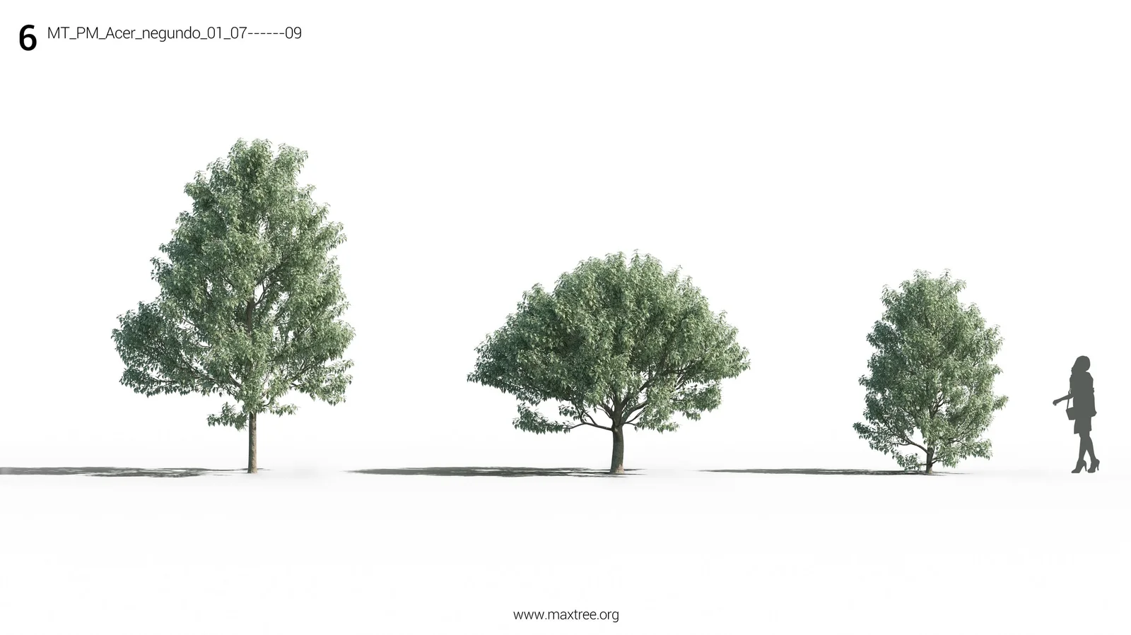 Maxtree Plant Models Vol 26 screenshot 5