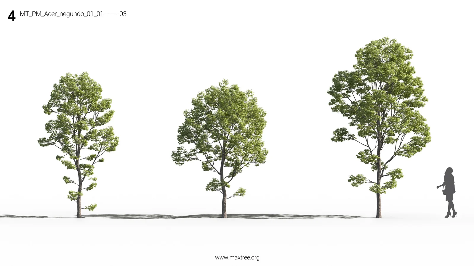 Maxtree Plant Models Vol 26 screenshot 8