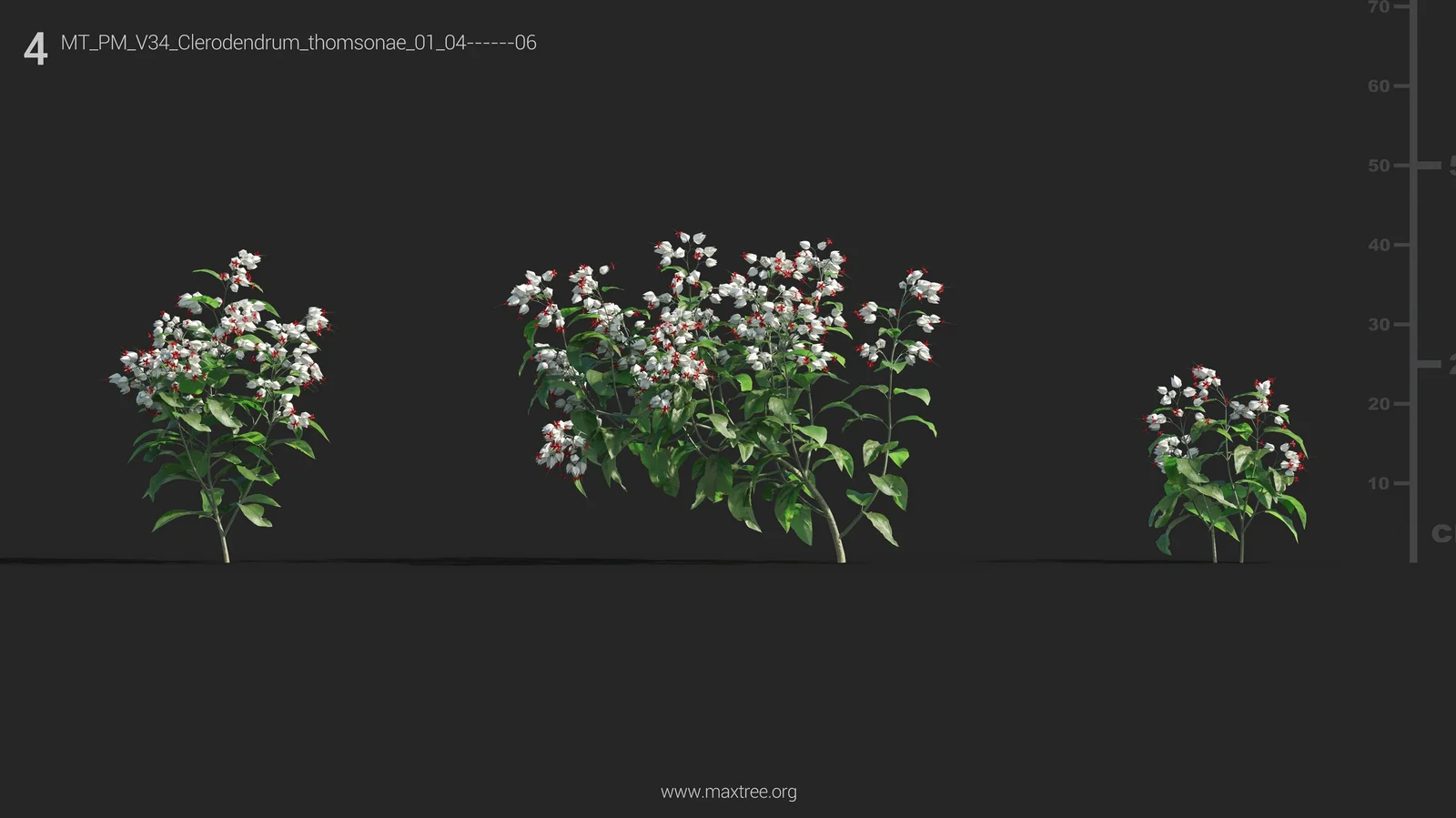 Maxtree Plant Models Vol 34 screenshot 5