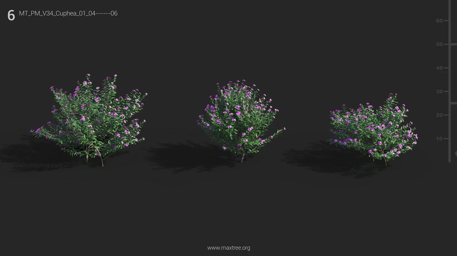 Maxtree Plant Models Vol 34 screenshot 6