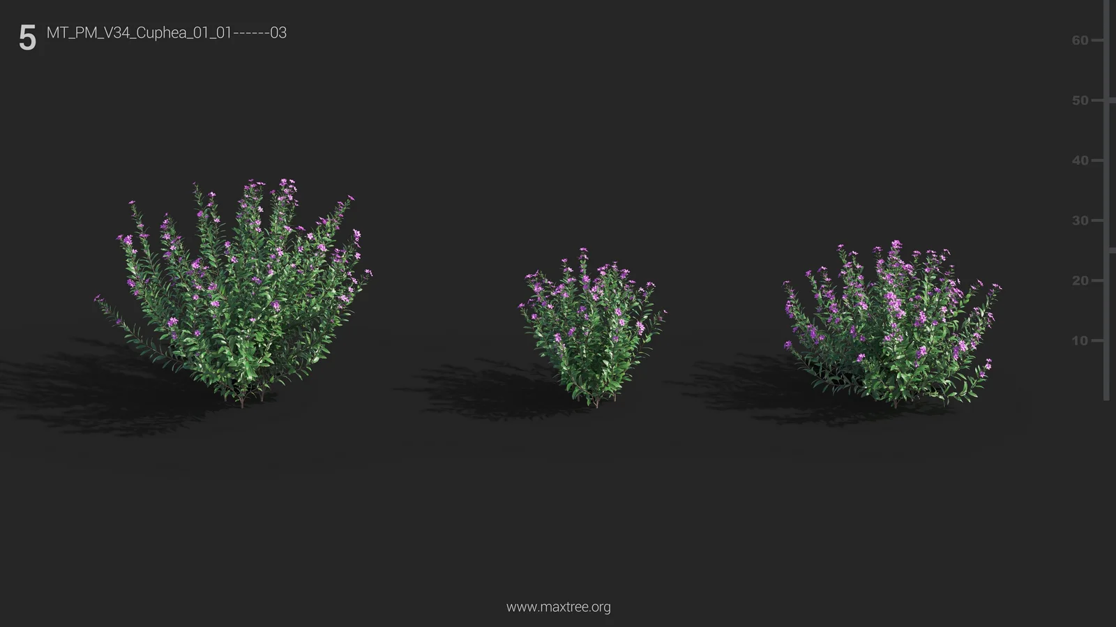 Maxtree Plant Models Vol 34 screenshot 7