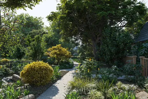 Plant Models Vol 38 - Blender 3d models